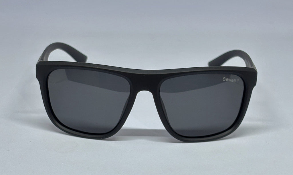 Sunglass 8494