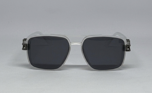 Sunglass