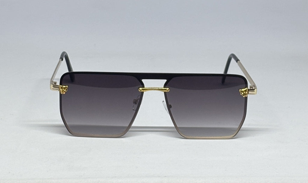 Sunglass