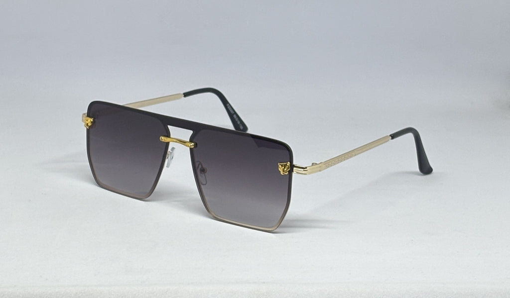 Sunglass