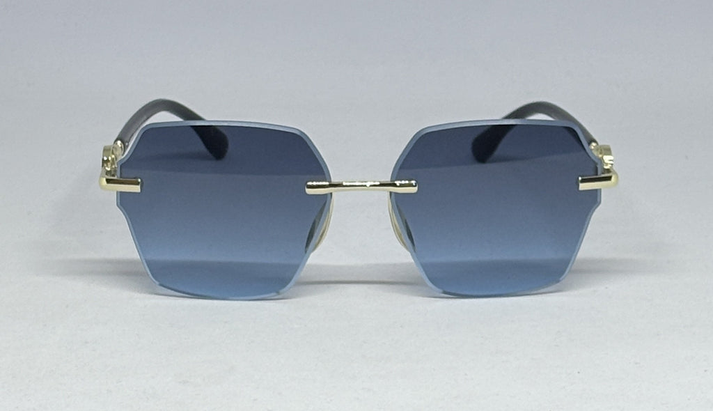 sunglass SH3979