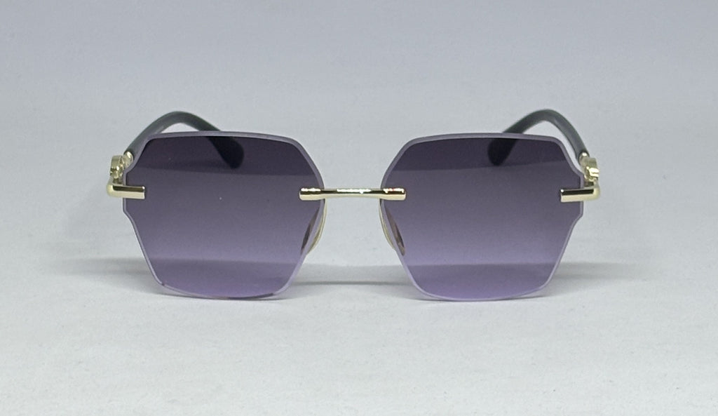 sunglass SH3979
