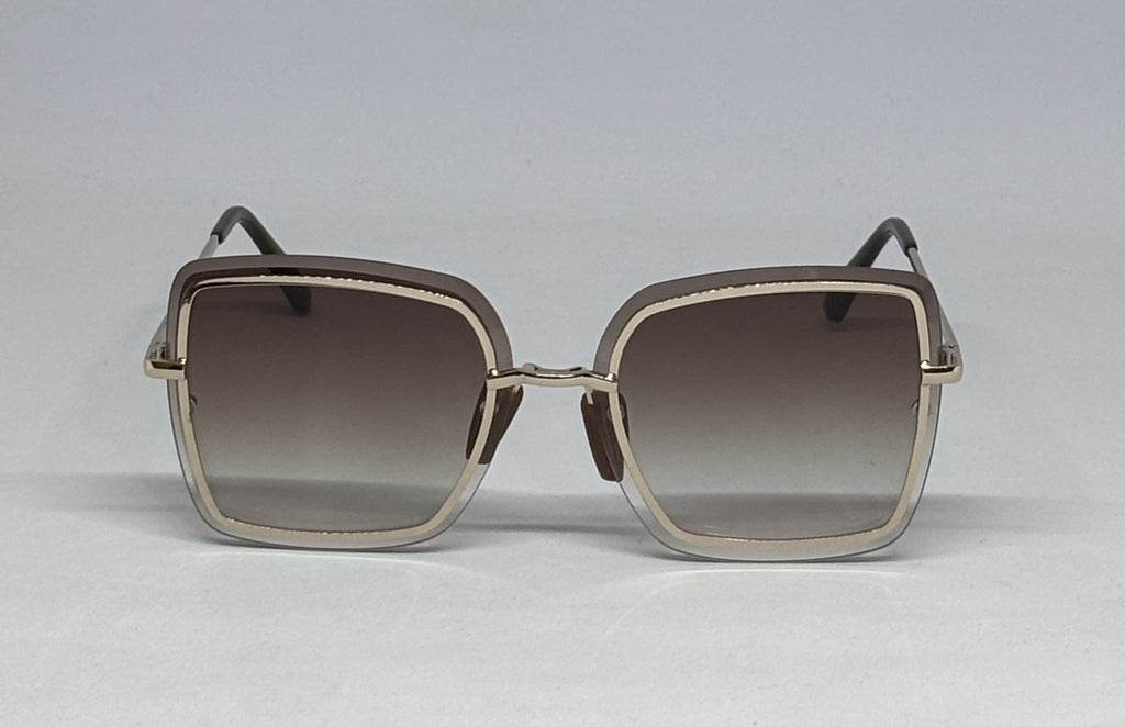 sunglass