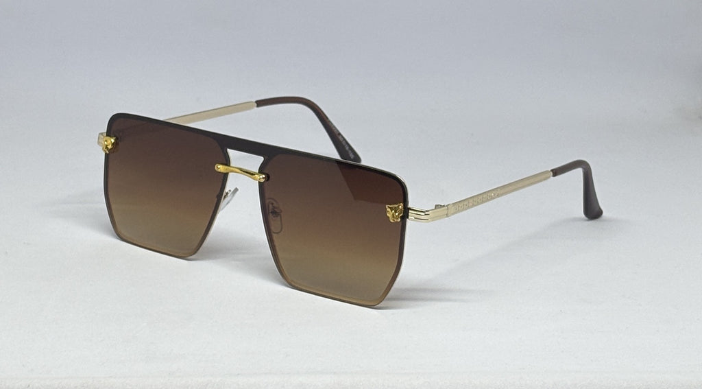 Sunglass