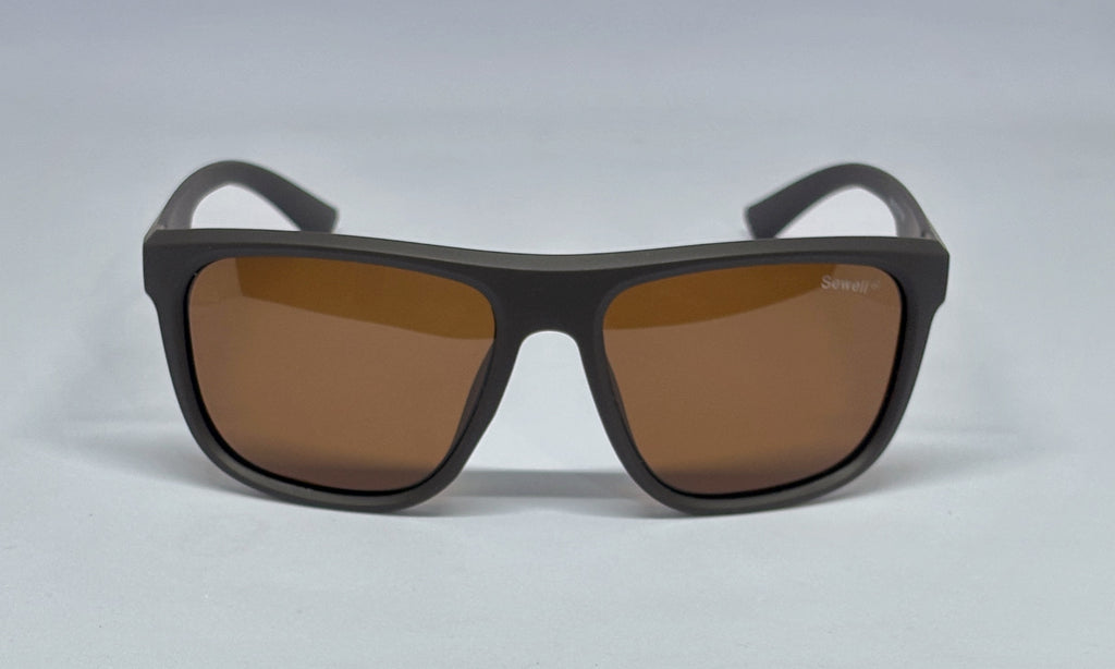 Sunglass 8494