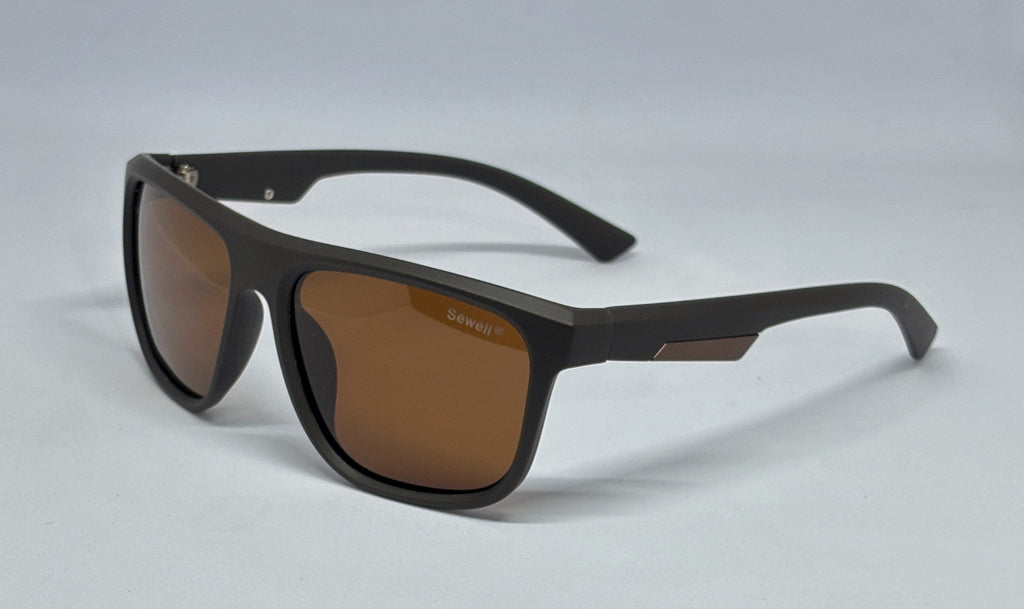 Sunglass 8494