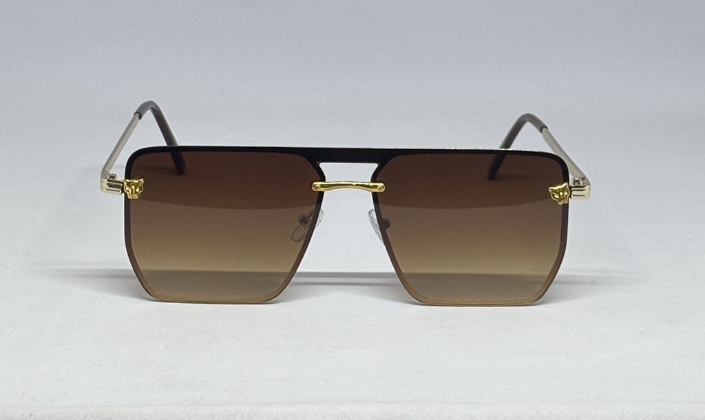 Sunglass