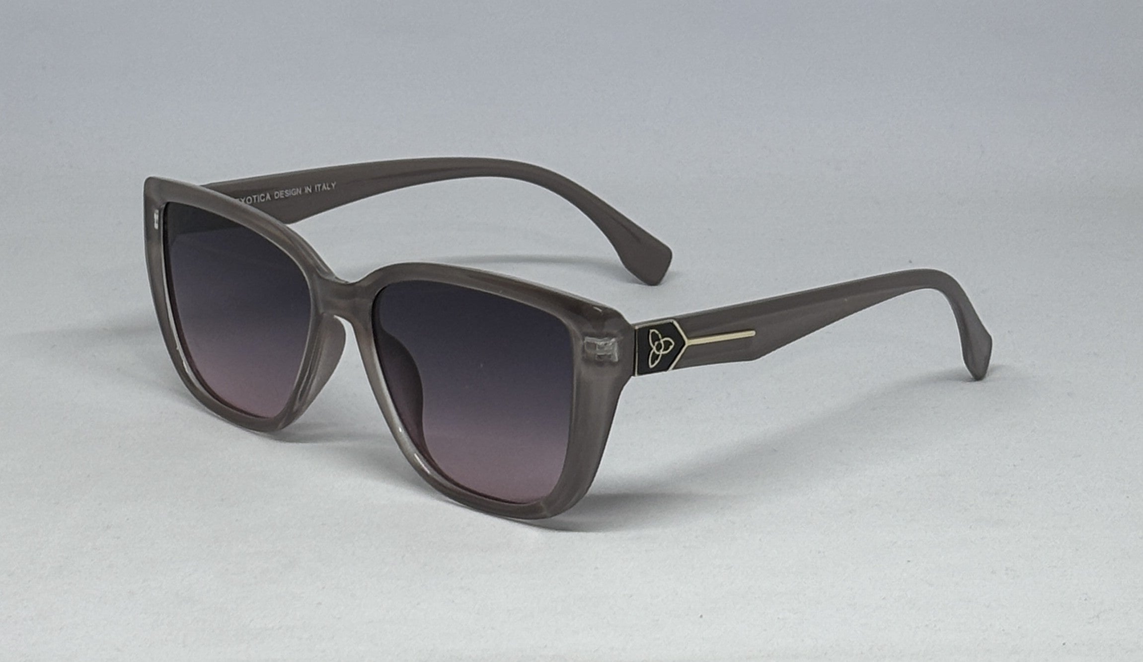 Sunglass EX007