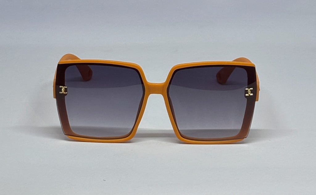 sunglass  8883