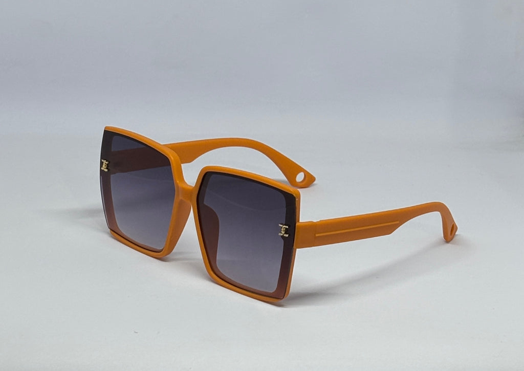 sunglass  8883