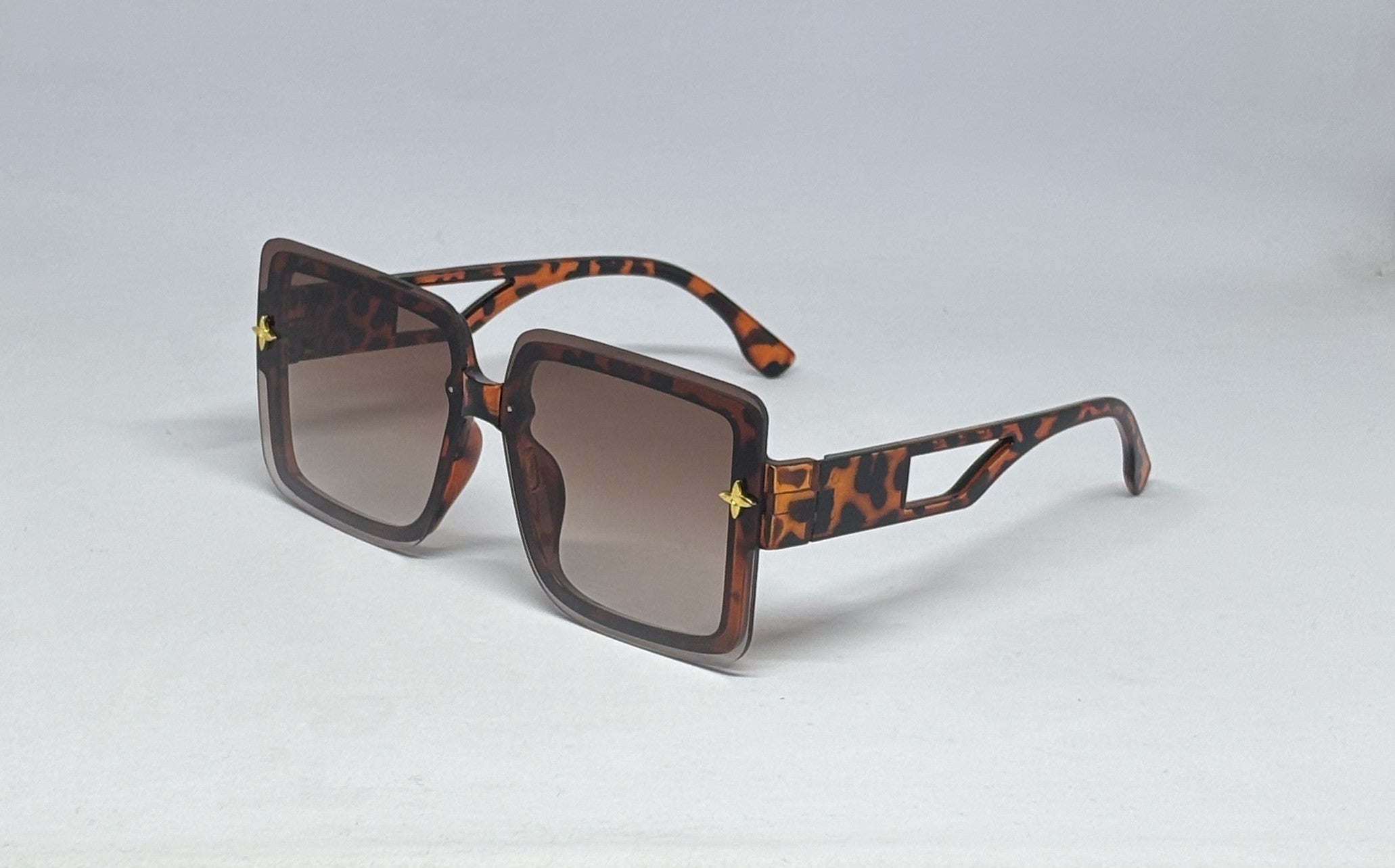Sunglass