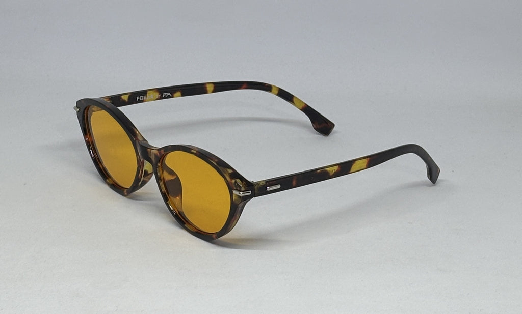 sunglass 5010