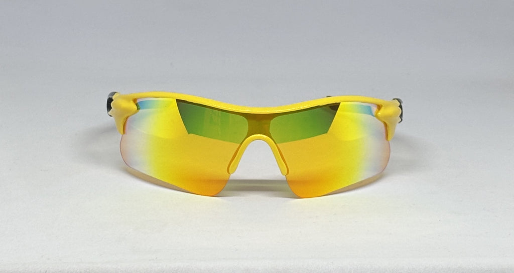 Sunglass