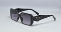 Sunglass 6097