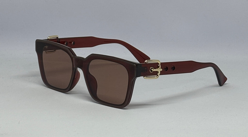 sunglass