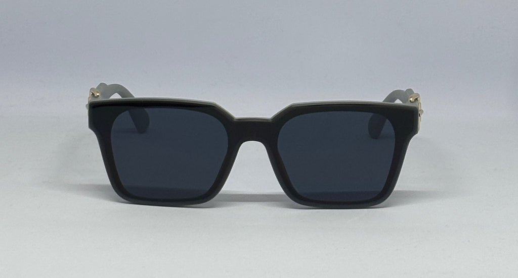 sunglass