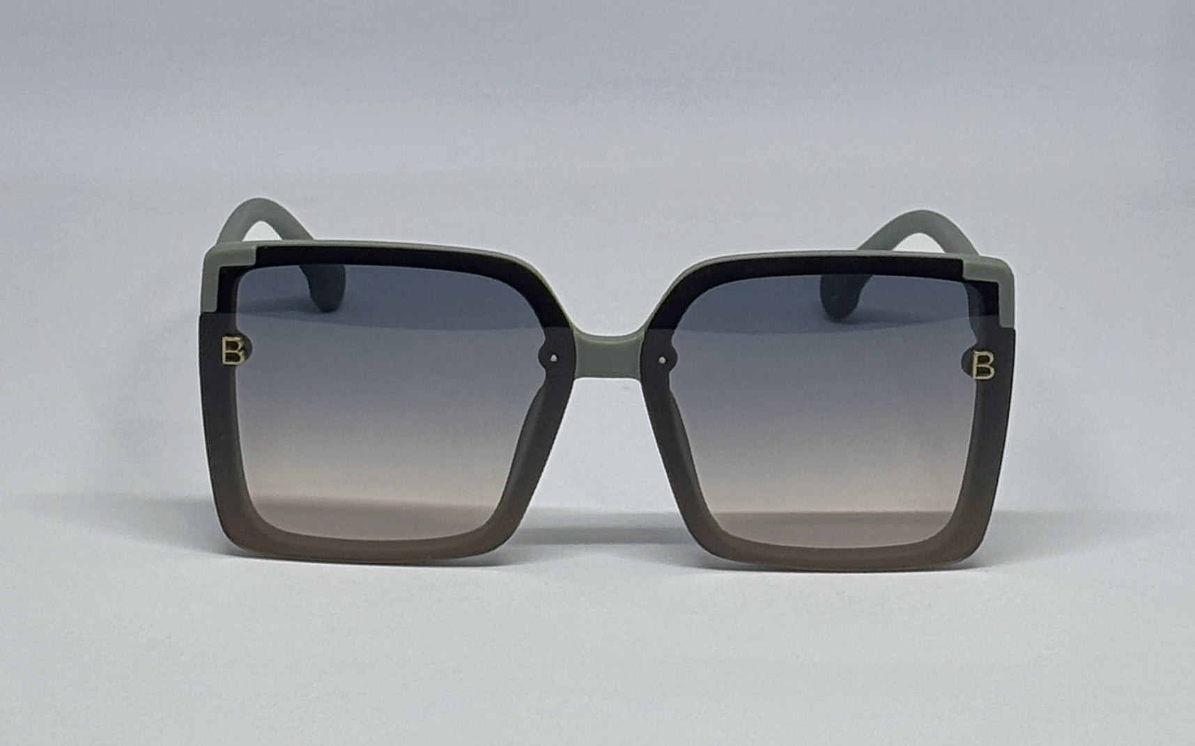 Sunglass 8860