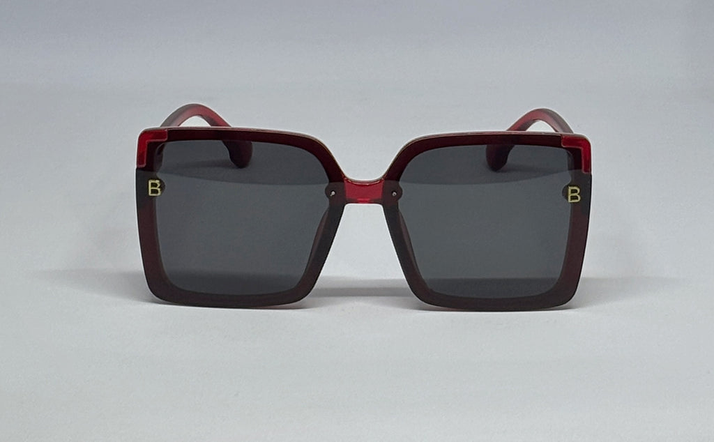 Sunglass 8860